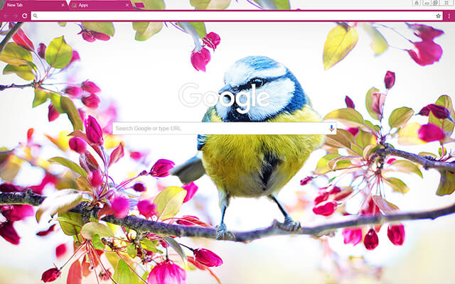 Happy Birdy Chrome Theme - Theme For Chrome