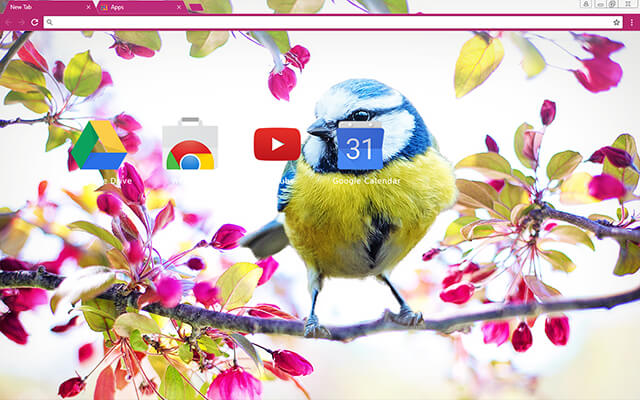 Happy Birdy Google Theme - Theme For Chrome