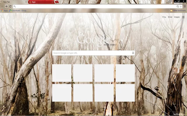 In The Woods Google Chrome Theme