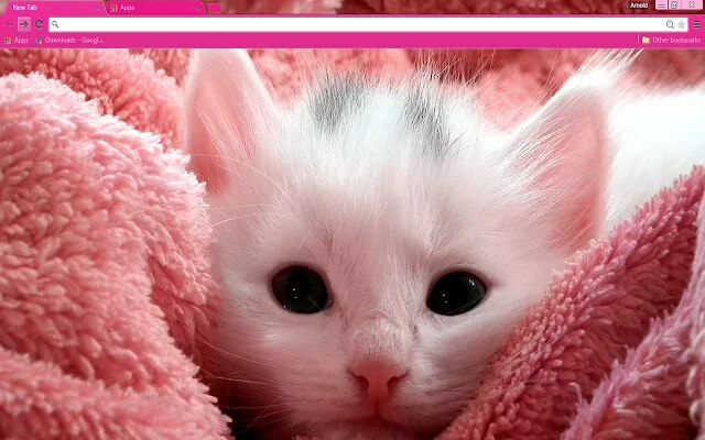 Pink Kitten Google Chrome Theme - Theme For Chrome