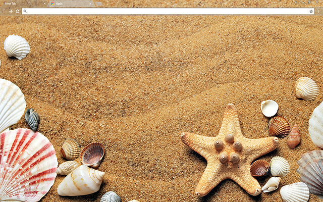 Sea Shells Google Chrome Theme