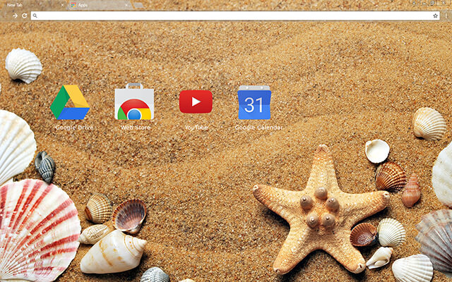Sea Shells Google Theme - Theme For Chrome