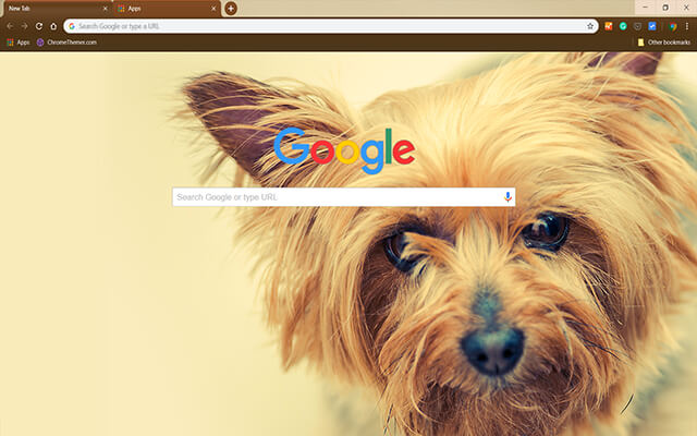 Silky Terrier Chrome Theme - Theme For Chrome