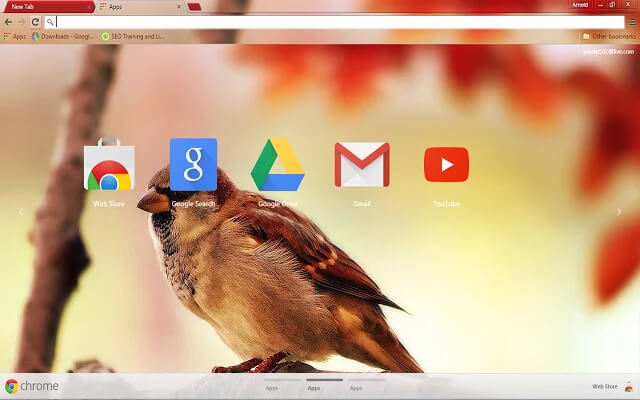 Sparrow Chrome Theme - Theme For Chrome