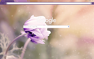 Anemone Flower Google Chrome Theme