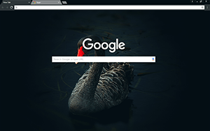Black Swan Google Chrome Theme