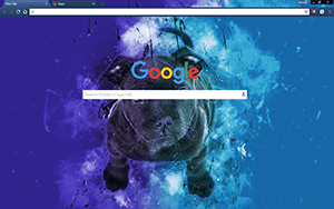 Blue Bull Terrier Google Chrome Theme