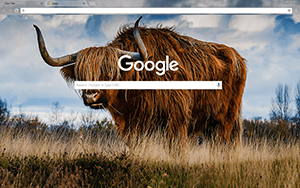 Bull Google Chrome Theme