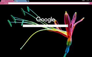 Colorful Flower Chrome Theme