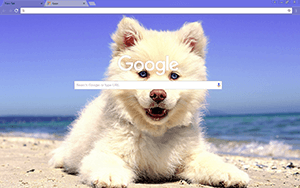 Cute Beach Puppy Google Chrome Theme