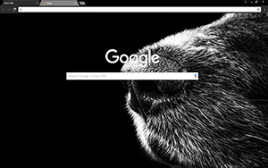 Dog Nose Google Chrome Theme