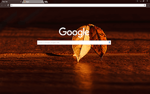 Fall Morning Google Chrome Theme
