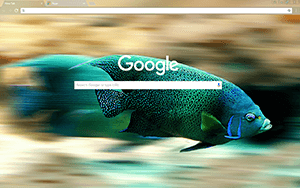 Fishy Google Chrome Theme