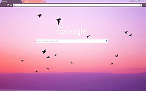 Free Birds Chrome Theme