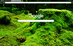 Green Forestry Google Chrome Theme