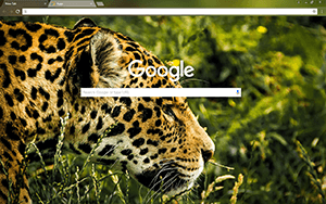 Jaguar Google Chrome Theme