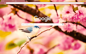 Little Bird Google Chrome Theme