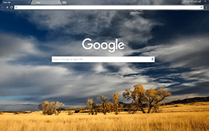 Patagonia Google Chrome Theme