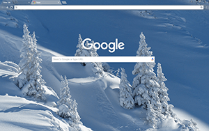 Pure Wintry White Google Chrome Theme