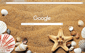Sea Shells Google Chrome Theme