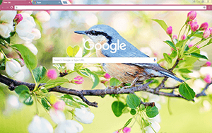 Spring Bird Google Chrome Theme