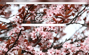Spring Google Chrome Theme