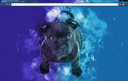 Blue Bull Terrier Chrome Theme