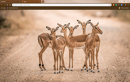 Impalas Google Chrome Theme