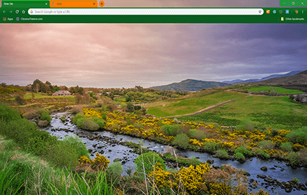 Irish Beauty Google Chrome Theme