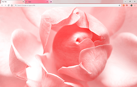 Rose Pink Google Chrome Theme