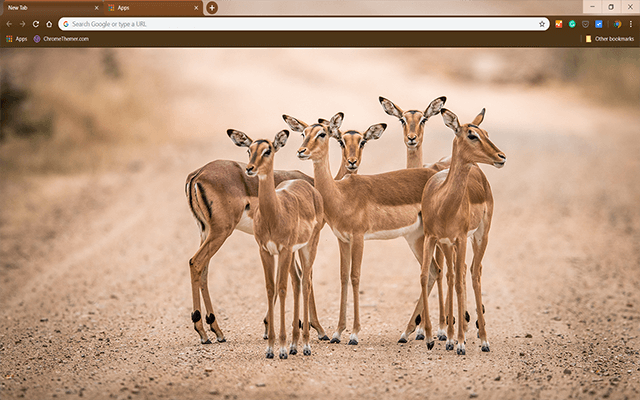 Impalas Google Chrome Theme