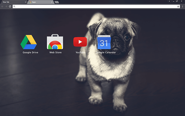 Pug Puppy Google Chrome Theme