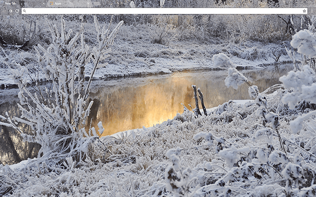 Snowy Creek