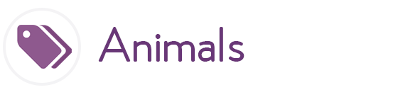 Animal Themes for Google Chrome ...