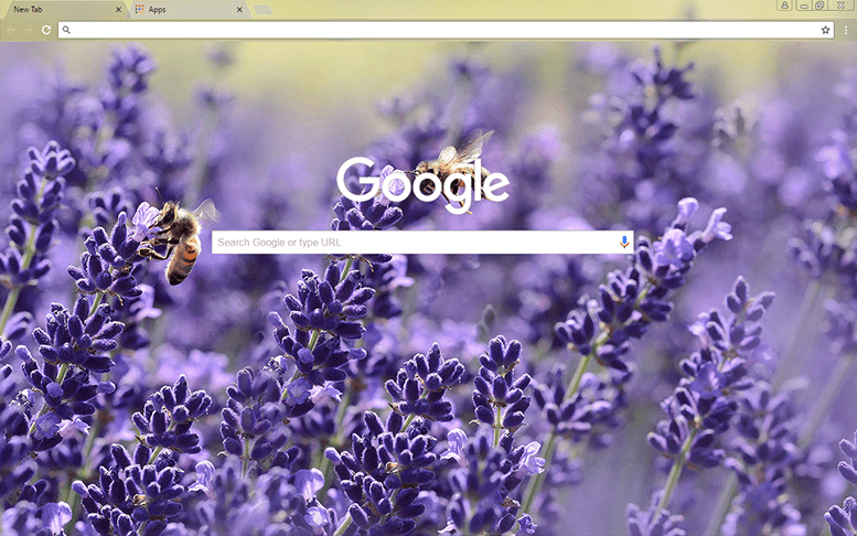 Lavender Blossom Chrome Theme