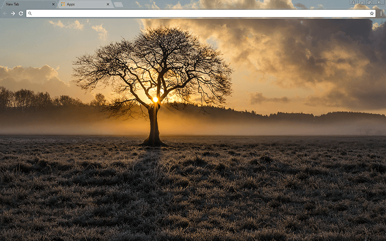 Lone Tree Chrome Theme