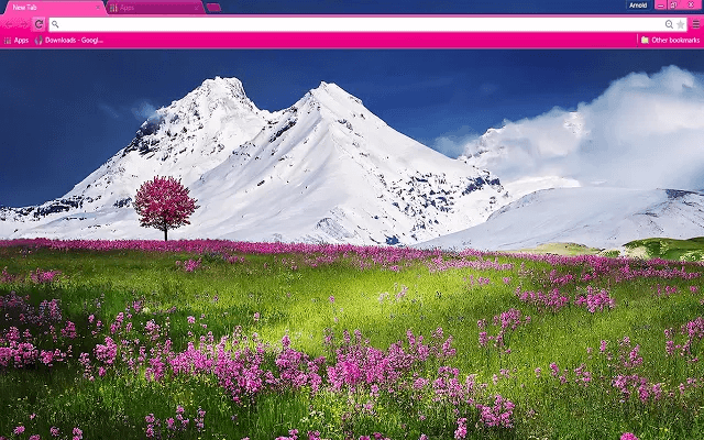 Mountain Flowers