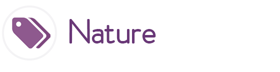 Nature Themes for Google Chrome ...