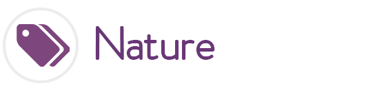 Nature Themes for Google Chrome ...