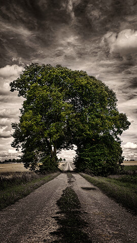 One Way   iPhone Background