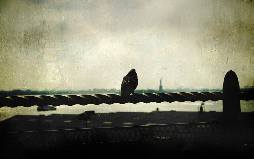 Random HD Google Chrome Background ...