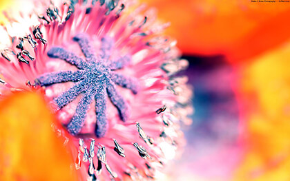 Google Chrome Background