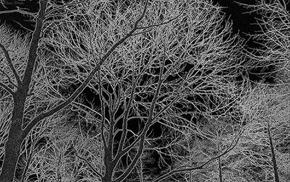 Google Chrome Background