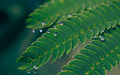 Google Chrome Background