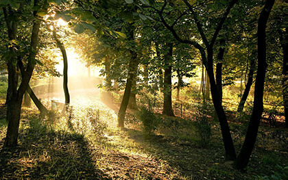 Google Chrome Background