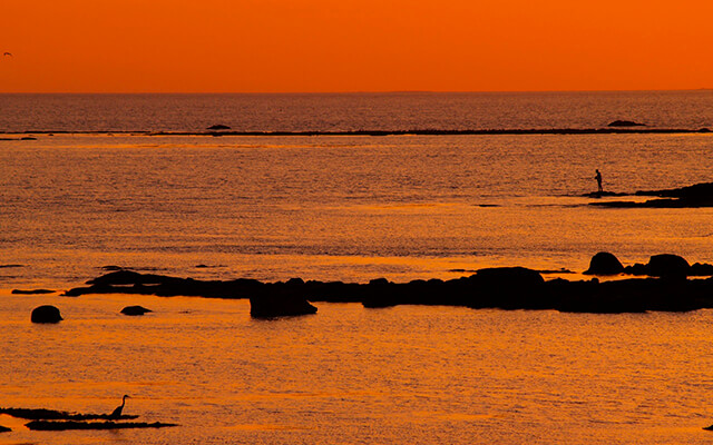 Google Chrome Background