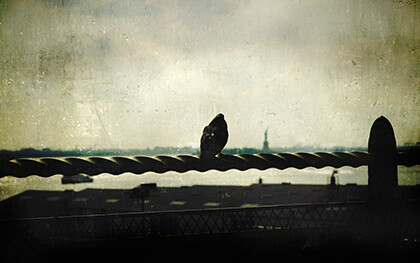 Google Chrome Background