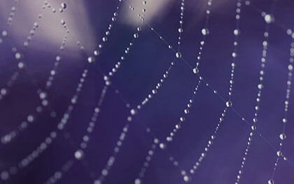 Google Chrome Background