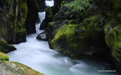 Google Chrome Background