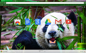 Wild Panda Chrome Theme